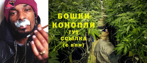 молекула духа Арсеньев