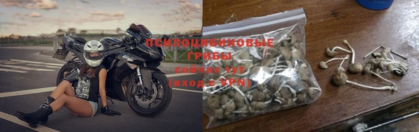 тгк Армянск
