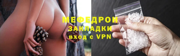 молекула духа Арсеньев