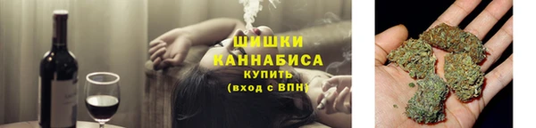 молекула духа Арсеньев